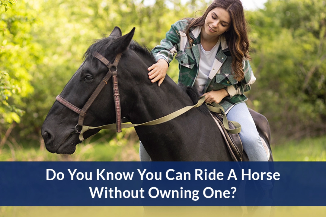 Is it necessary to take lessons to learn how to ride a horse?