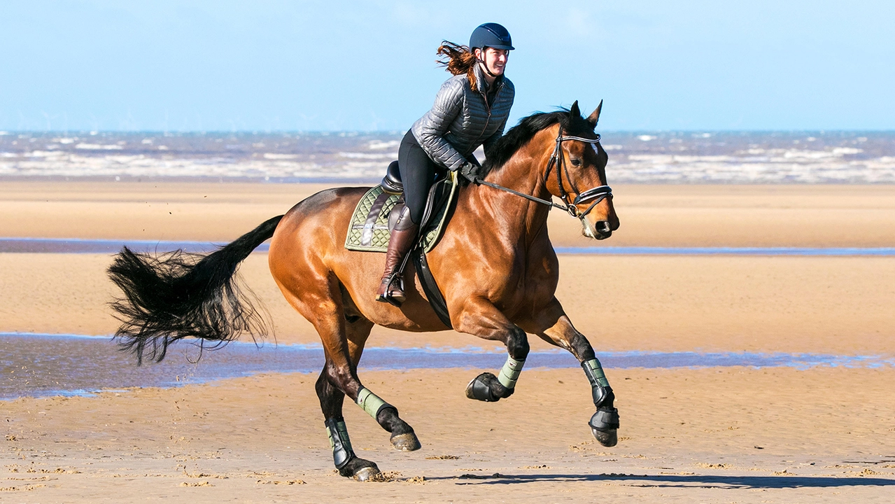 Is it necessary to know how to ride before buying a horse?