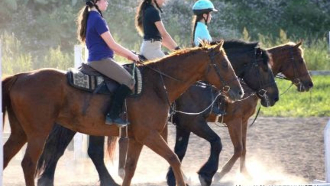 Is it a bad idea to ride a horse without practice?