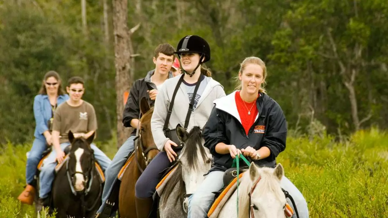 Should camping and horse riding be banned?